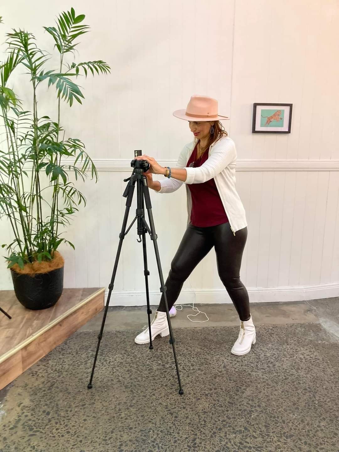 Person adjusting a tripod in a room with a potted plant and framed picture on the wall.